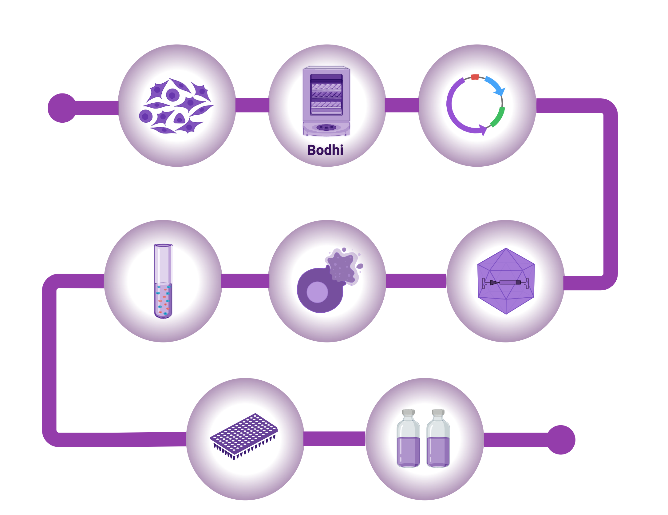 AAV production roadmap — from cell expansion to fill and finish